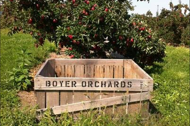 Boyer Orchards